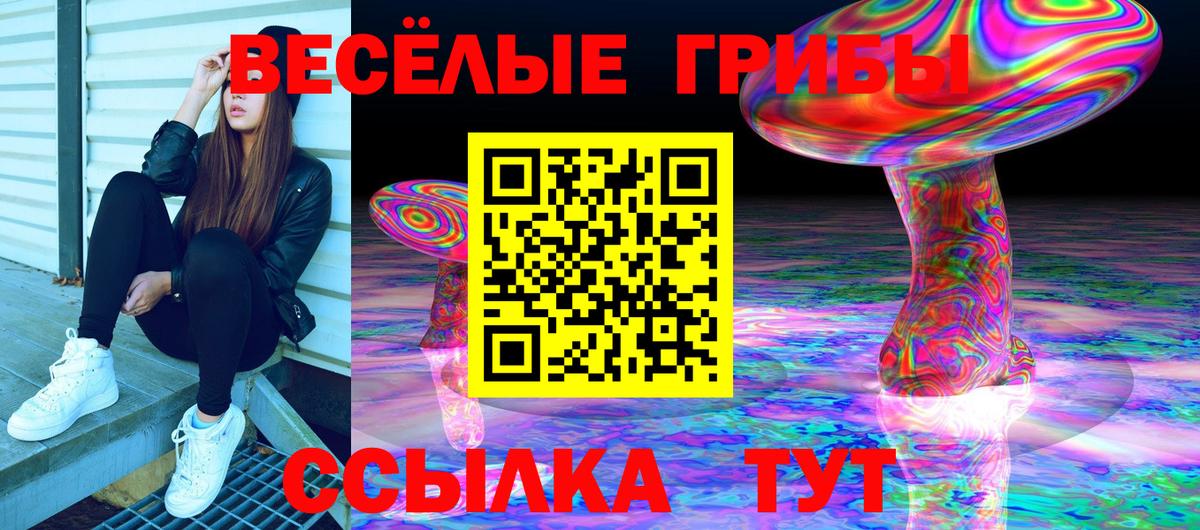 Галлюциногенные грибы ЛСД  Вход с VPN  Коломна  Псилоцибиновые грибы MAGIC MUSHROOMS 