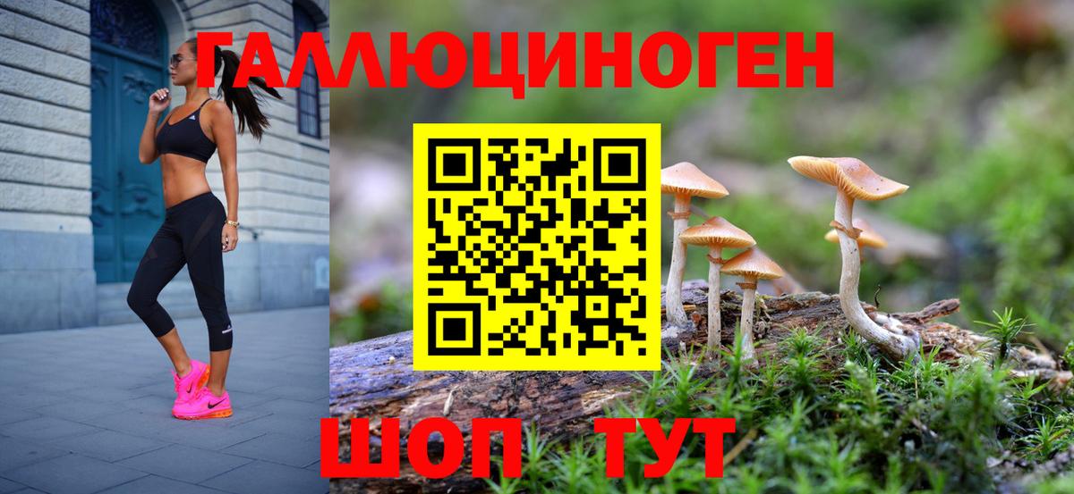 Галлюциногенные грибы мухоморы Коломна